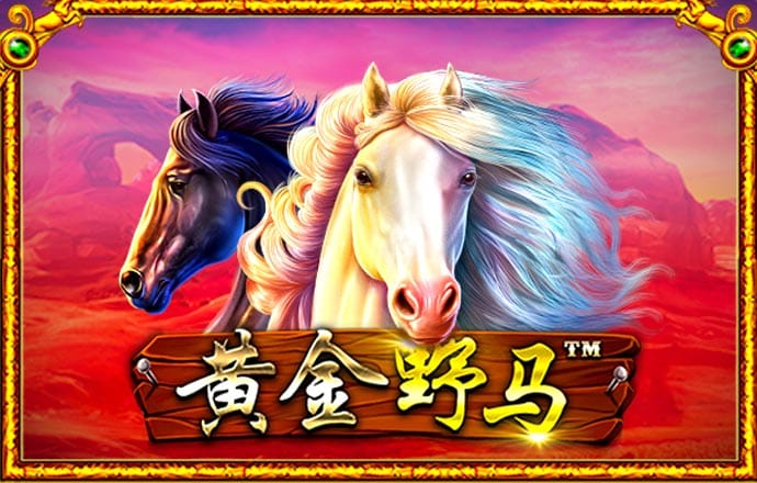 金年汇app官方网